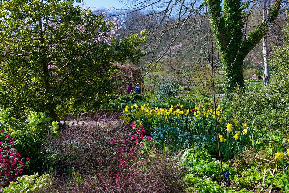 RHS Harlow Carr – Spring Garden Adventure