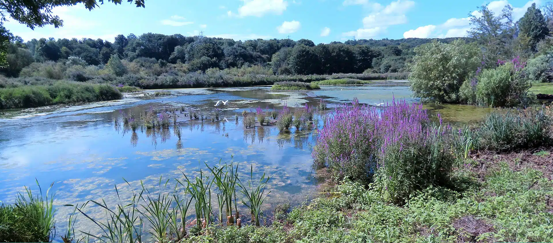 Rodley Nature Reserve