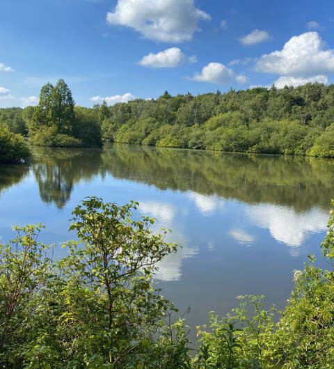 Golden Acre Park Sensory Garden