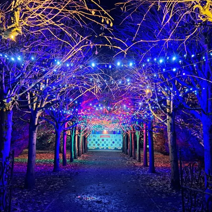 Lotherton Christmas Experience