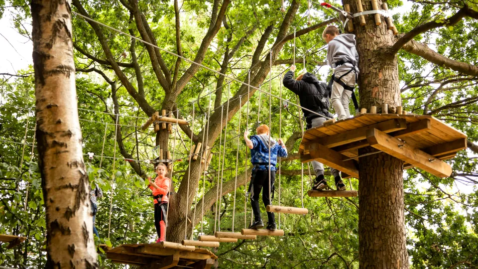 Go Ape Temple Newsam