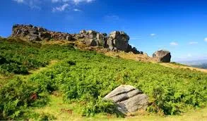 Ilkley Moor