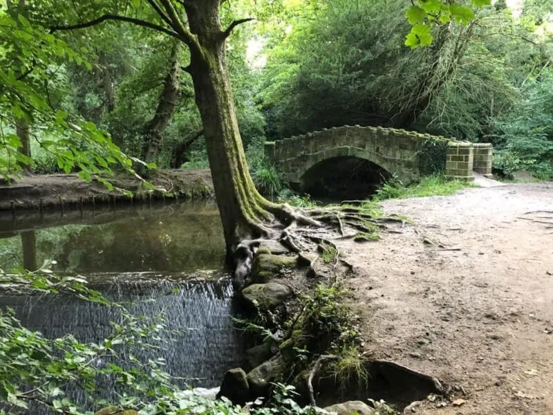 Meanwood Valley Trail – Woodland Family Walk