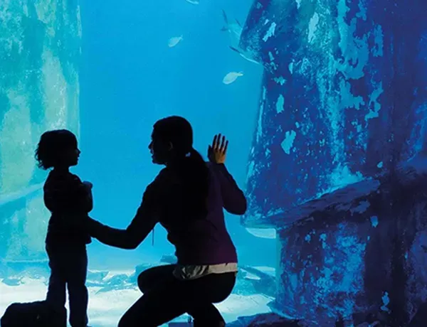 Scarborough Sea Life Sanctuary – Ocean Adventure
