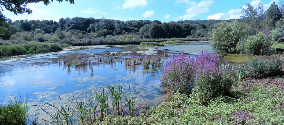 Rodley Nature Reserve