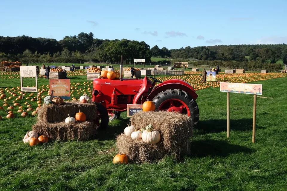 Pumpkin Festival at Cannon Hall Farm