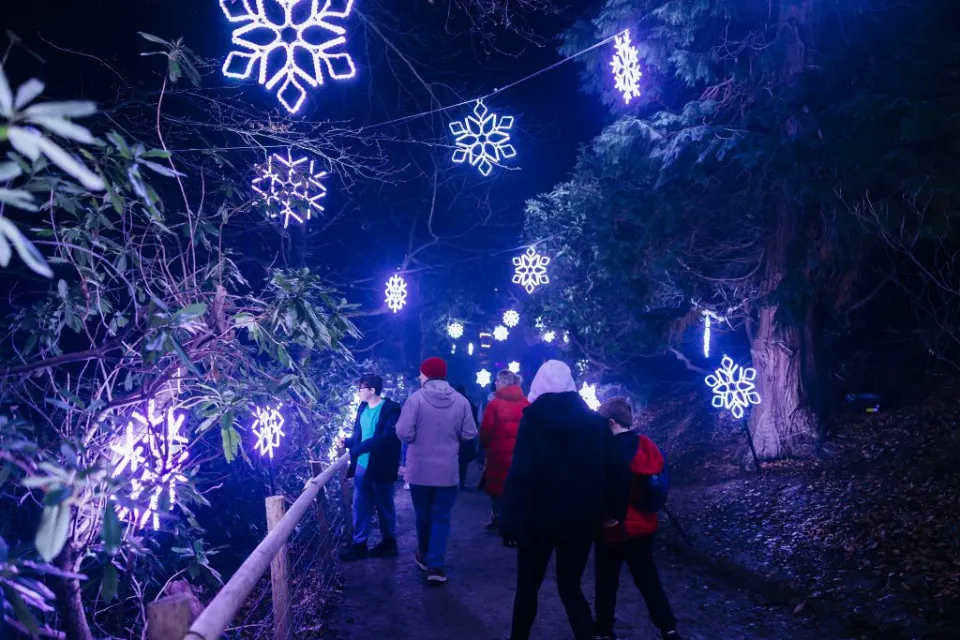 Northern Lights Leeds: The Lost Light of Christmas